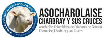 Asocharolaise